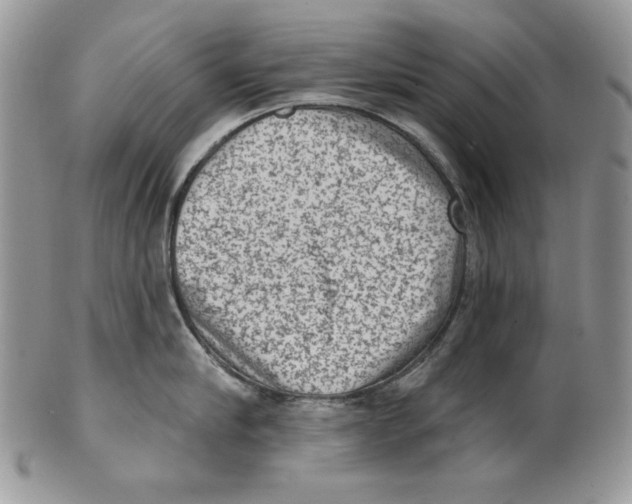 X0000101150910200807251045
