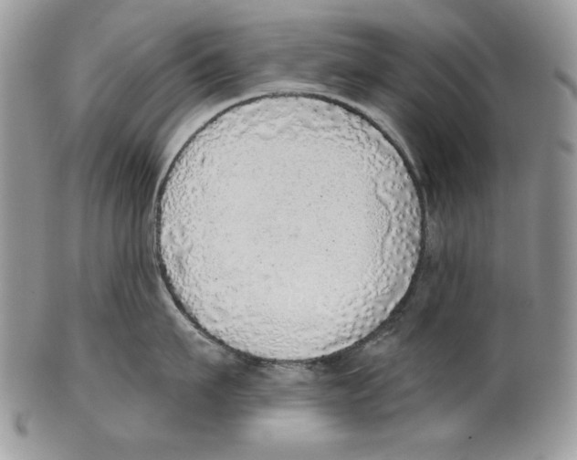 X0000101150911200807251045