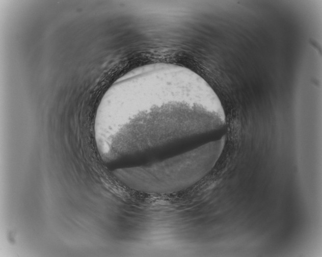 X0000101150913200807251045