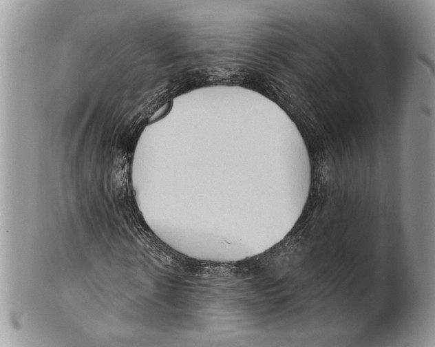 X0000101150914200807251045