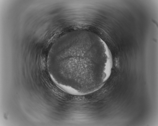 X0000101150915200807251045