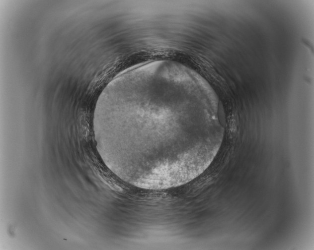 X0000101150916200807251045