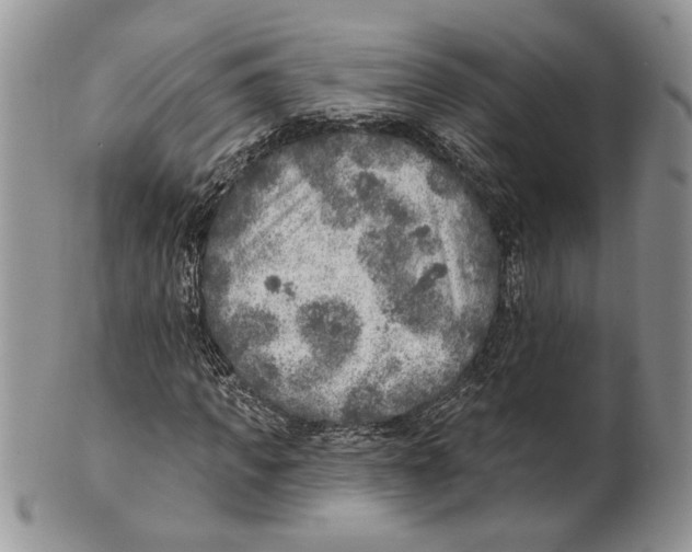 X0000101150917200807251045