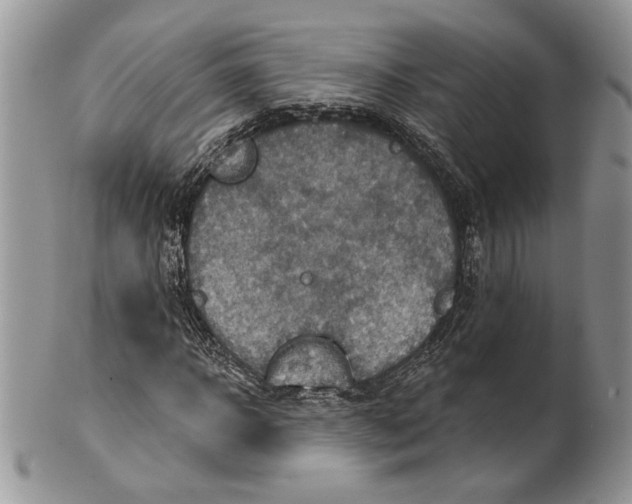 X0000101150918200807251045
