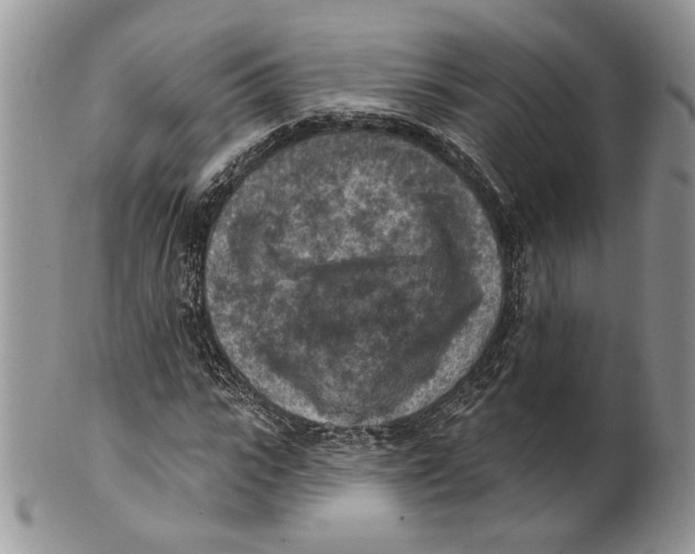 X0000101150919200807251045