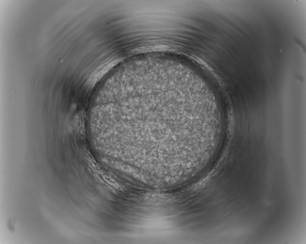 X0000101150921200807251045