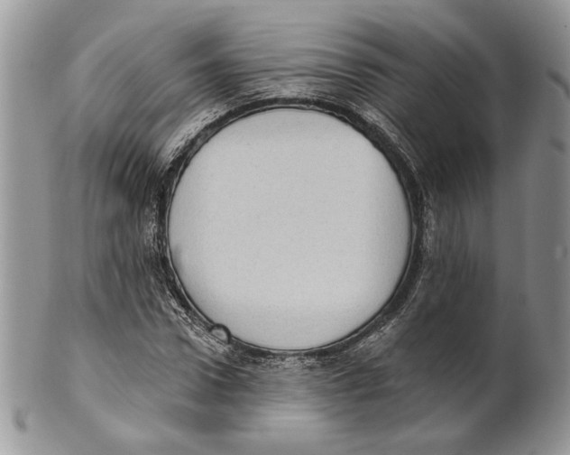 X0000101150922200807251045