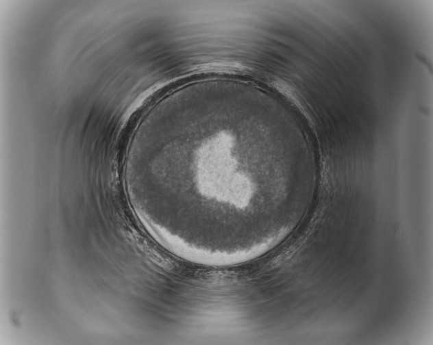 X0000101150923200807251045