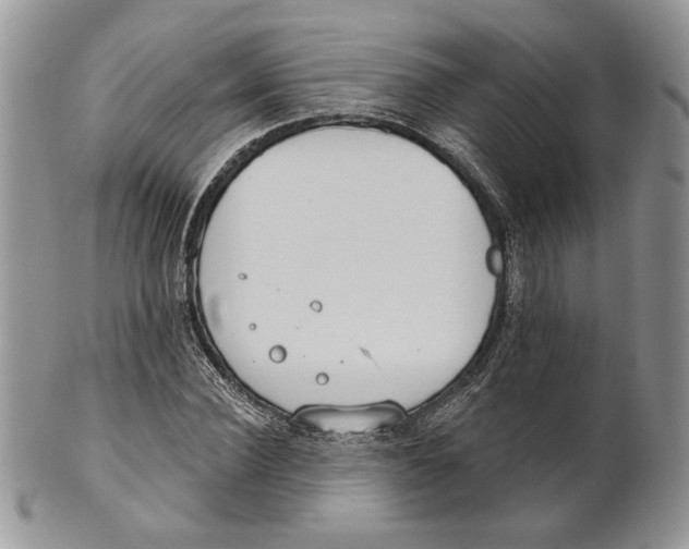 X0000101150924200807251045