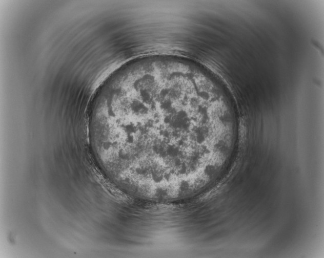 X0000101150925200807251045