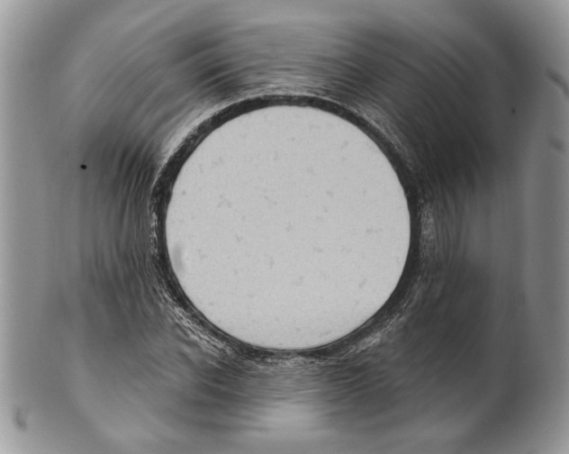X0000101150926200807251045