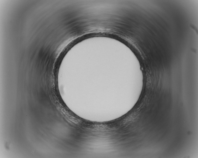 X0000101150927200807251045
