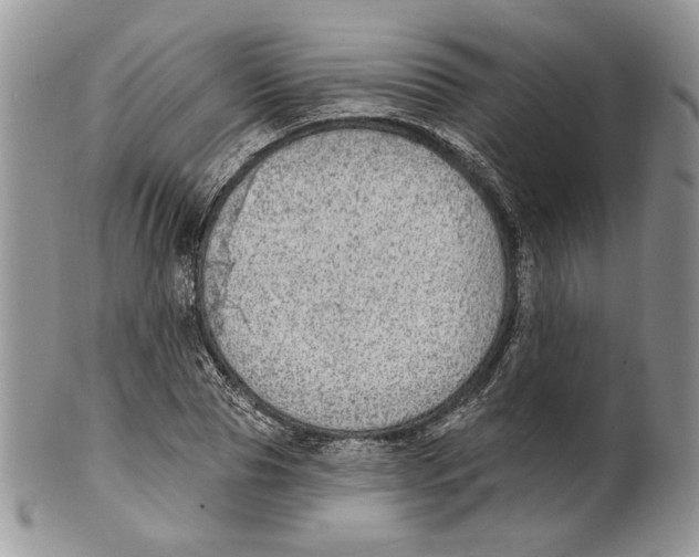 X0000101150929200807251045