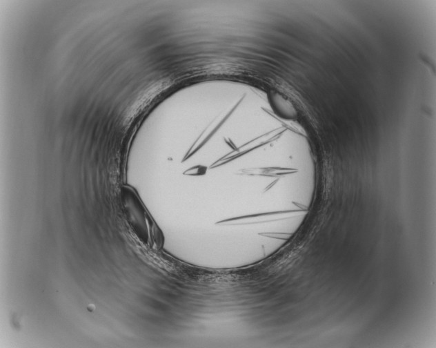 X0000101150930200807251045