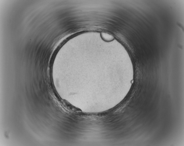 X0000101150932200807251045