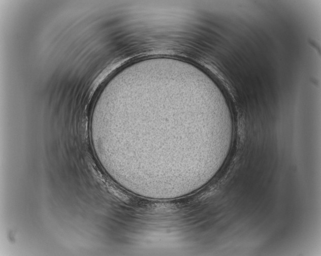 X0000101150933200807251045