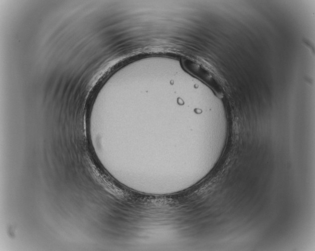 X0000101150934200807251045