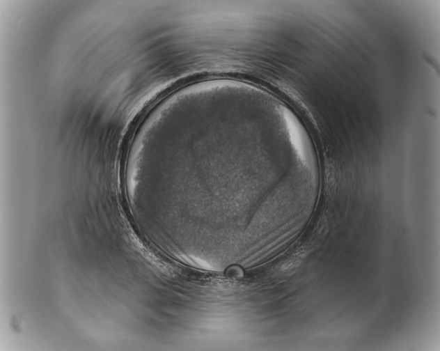 X0000101150935200807251045