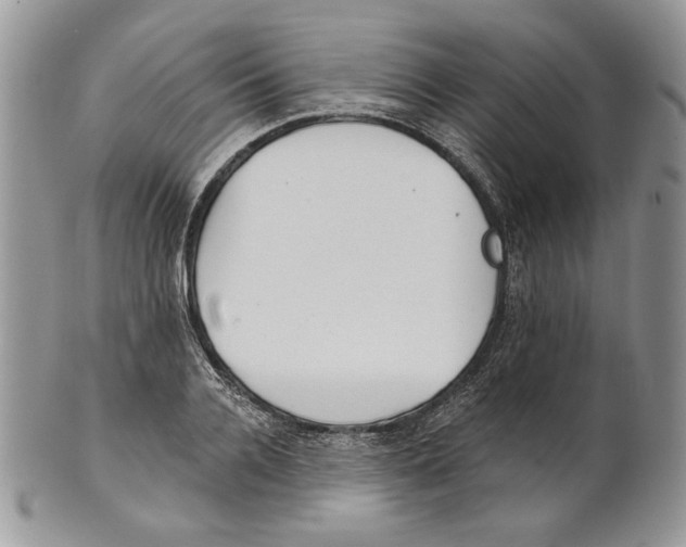 X0000101150936200807251045