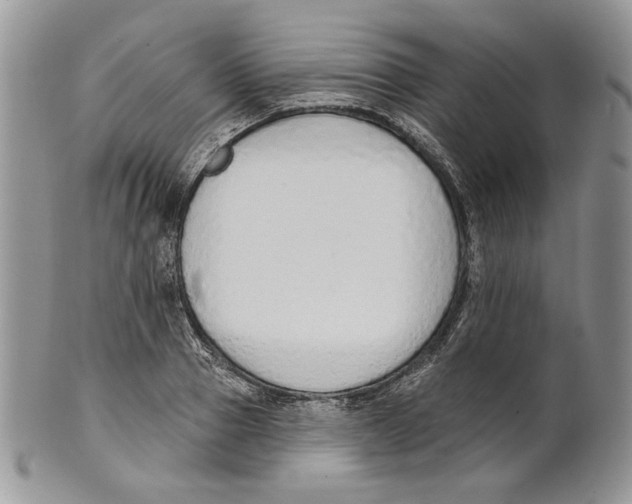 X0000101150937200807251045