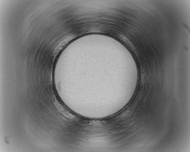 X0000101150938200807251045