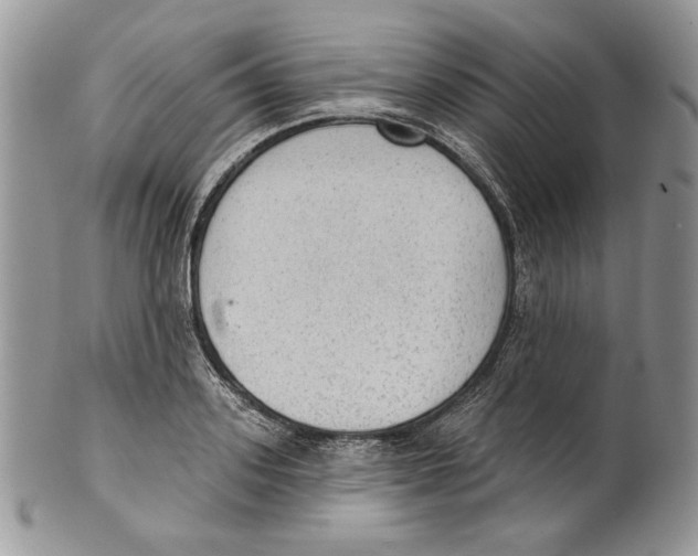X0000101150939200807251045