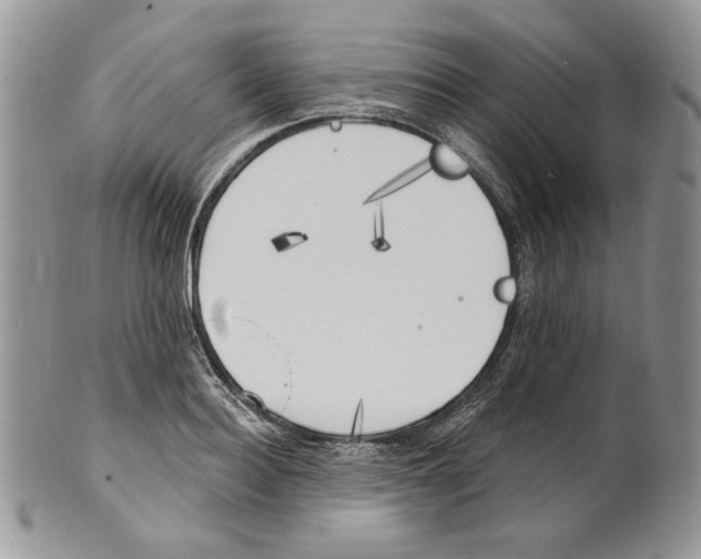 X0000101150940200807251045