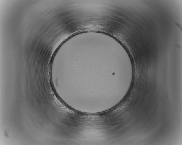 X0000101150941200807251045