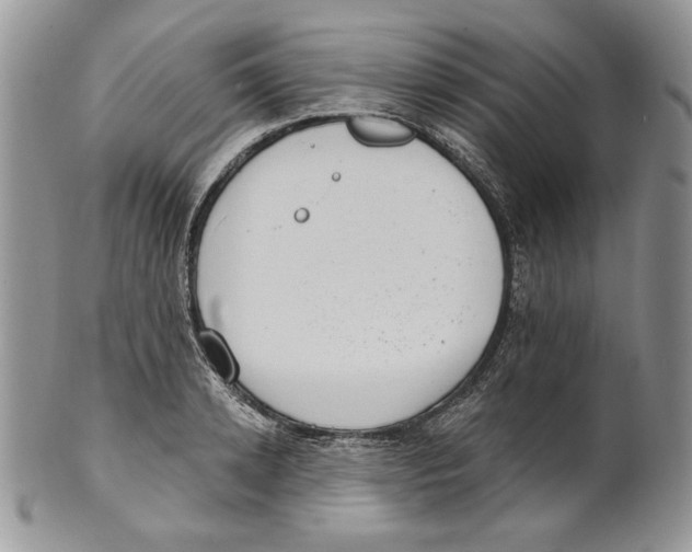 X0000101150942200807251045
