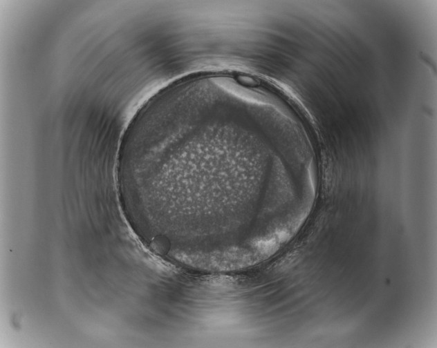 X0000101150943200807251045
