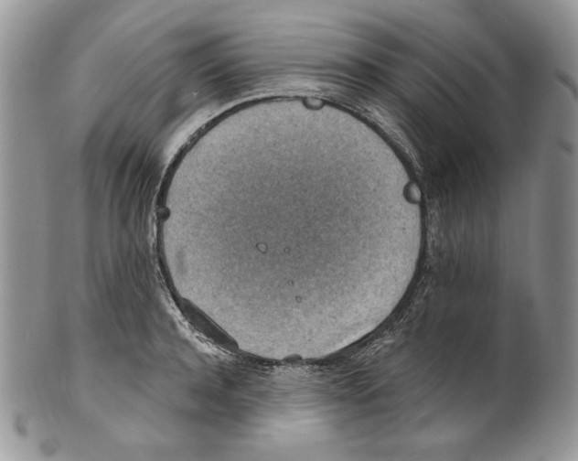 X0000101150944200807251045