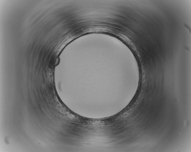 X0000101150945200807251045