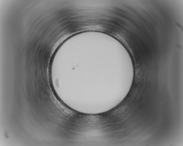 X0000101150947200807251045