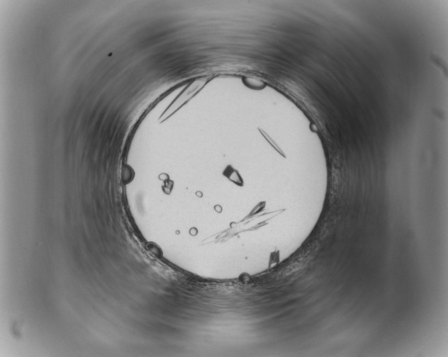 X0000101150948200807251045