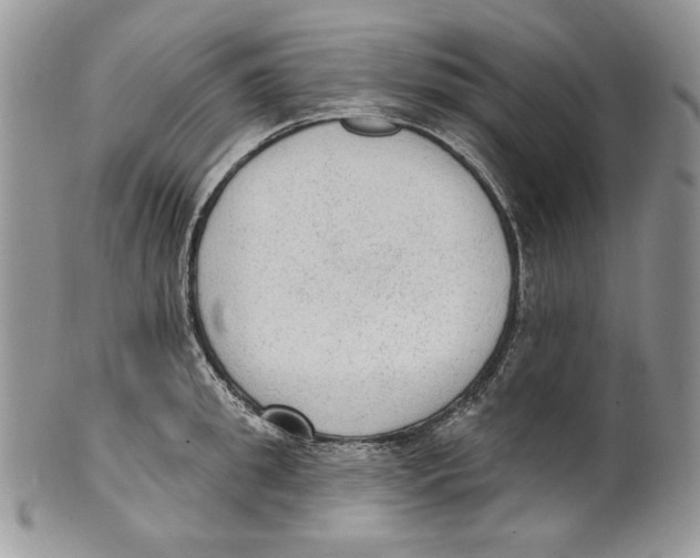 X0000101150949200807251045