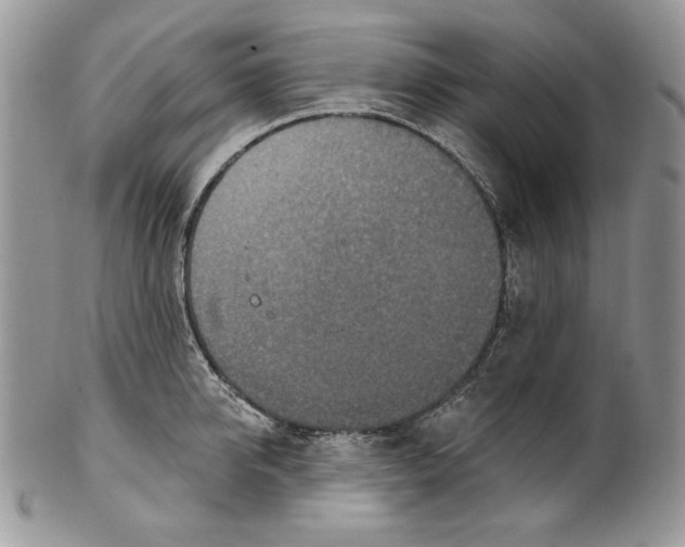 X0000101150950200807251045