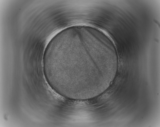 X0000101150951200807251045