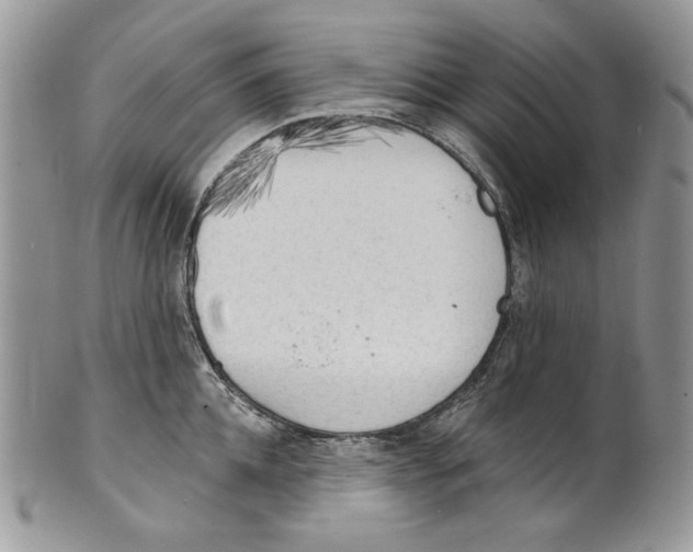 X0000101150952200807251045