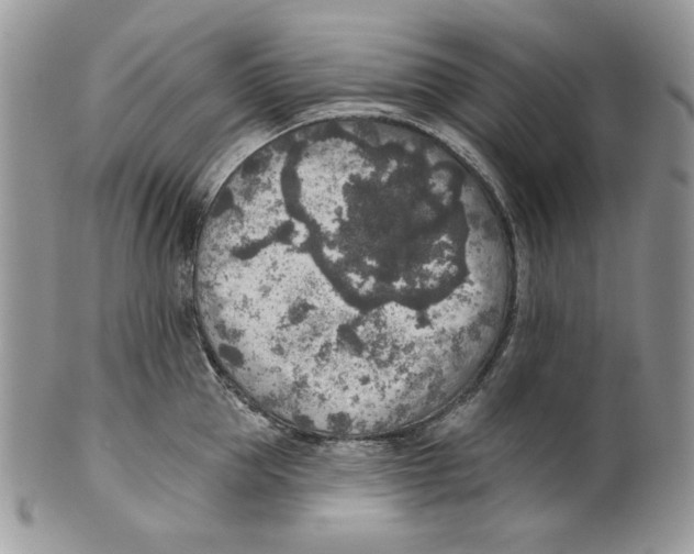 X0000101150953200807251045