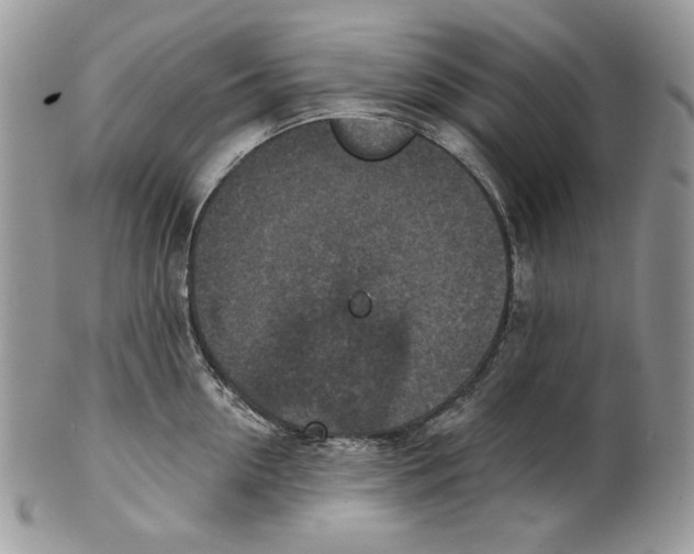 X0000101150954200807251045