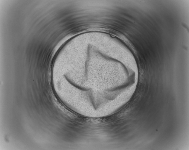 X0000101150955200807251045