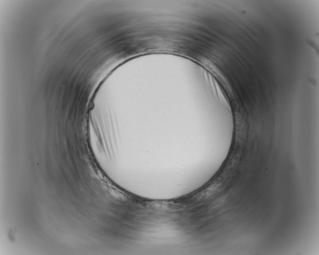X0000101150956200807251045