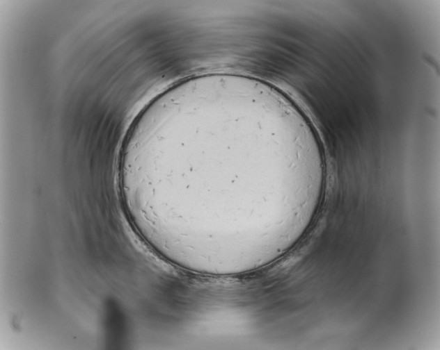 X0000101150957200807251045