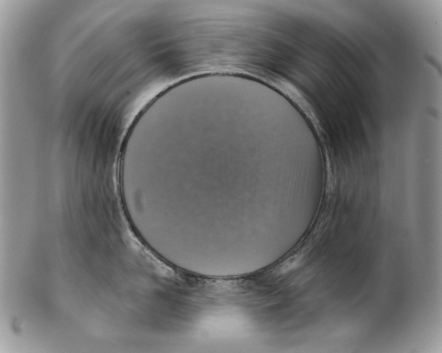 X0000101150958200807251045