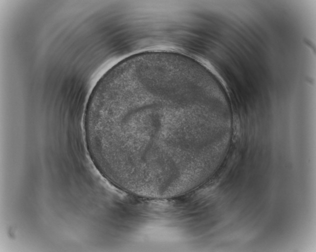 X0000101150959200807251045