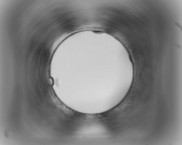 X0000101150960200807251045