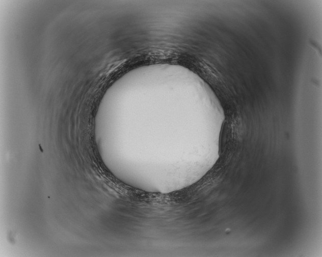 X0000101150961200807251045