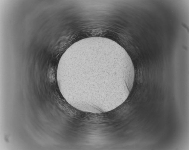 X0000101150962200807251045