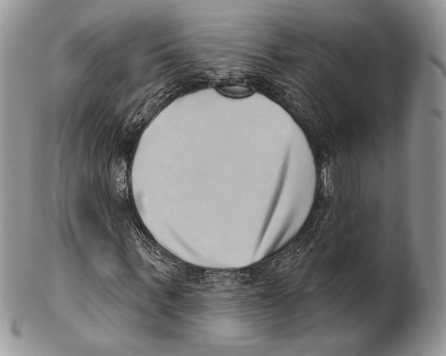 X0000101150963200807251044