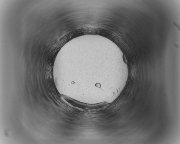 X0000101150964200807251044